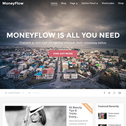 MyThemeShop MoneyFlow WordPress Theme