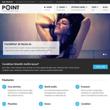 MyThemeShop MyBlog WordPress Theme