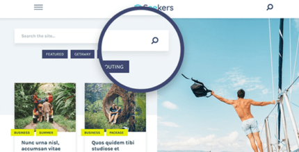 MyThemeShop Seekers WordPress Theme