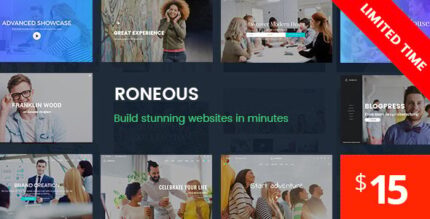 Roneous | Creative Multi-Purpose WordPress Theme